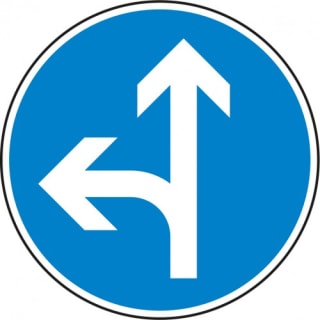 VZ 214-10 - StVO-Schild Fahrtrichtung geradeaus o. links