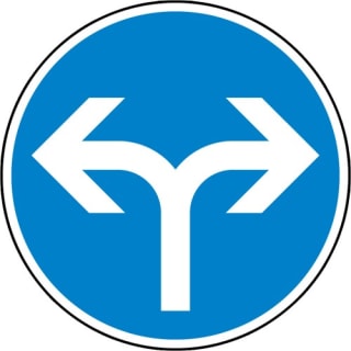VZ 214-30 - Verkehrsschild Fahrtrichtung links o. rechts
