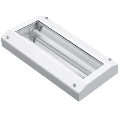 Anti-Vandalen-Leuchte AVL-LUX PREMIUM (Wand-/Deckenaufbau)