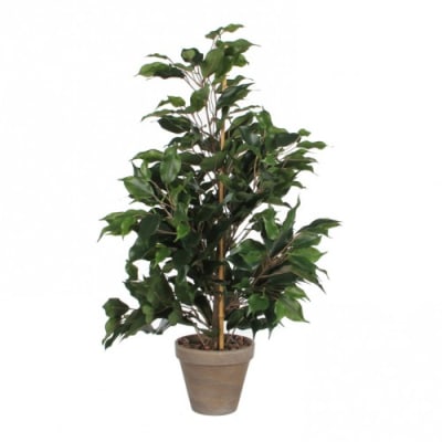 Kunstbaum Ficus Exotica Kunstbaum Ficus Exotica