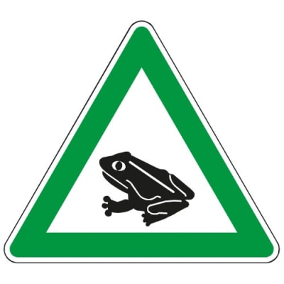Krötenwanderung Krötenwanderung