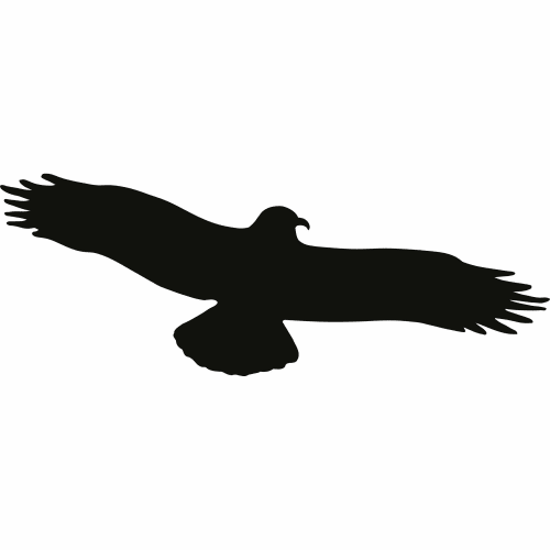Schwarzer Vogelaufkleber Silhouette fliegender Vogel mit ausgebreiteten Flügeln für Glasscheiben
