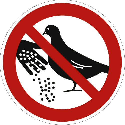 Verbotsschild Tauben füttern verboten mit durchgestrichener Hand, die Körner an eine Taube streut