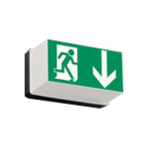 Ersatz-Piktogramm für GSUN 2 mit grünem Notausgangssymbol und Pfeil nach unten