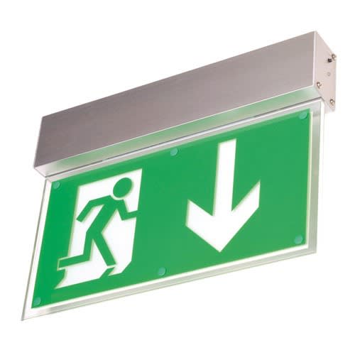 Notleuchte L-LUX STANDARD moderne LED-Scheibenleuchte mit grünem Notausgangssymbol und Pfeil nach unten, Wandaufbau
