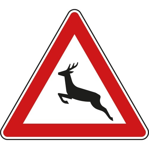 Verkehrsschild Wildwechsel mit springendem Hirsch, Aufstellung rechts, VZ 142-10