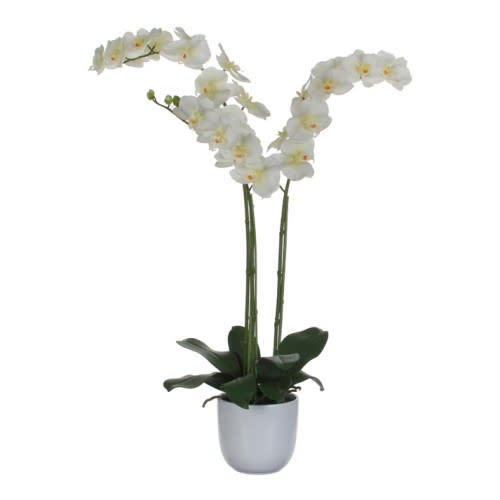 Künstliche Nachtfalter-Orchidee mit weißen Blüten in weißem Topf