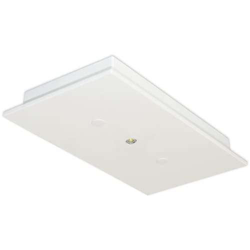 Weiße Sicherheitsleuchte MÜNCHEN mit 7L-Schutzlicht, Deckenmontage