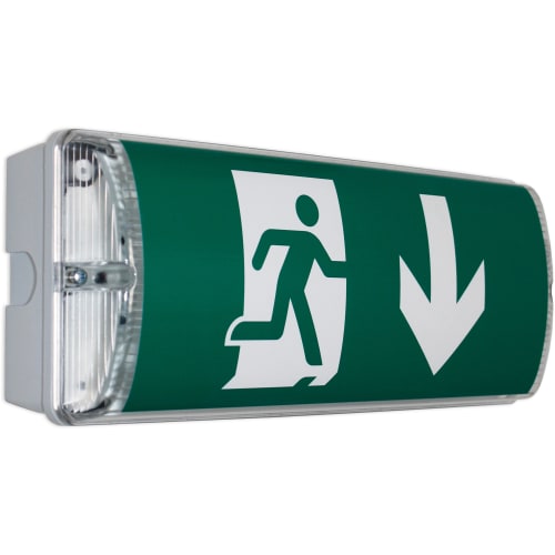 Rettungszeichenleuchte KÖLN Wandaufbau mit grünem Notausgangssymbol und Pfeil nach unten