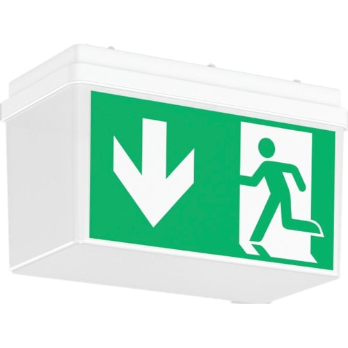 LED-Notleuchte GSUN 3 mit hoher Haube, grüne Notausgangsbeleuchtung mit Richtungspfeil nach unten und Fluchtsymbol, Wand- und Deckenmontage