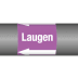 Gruppe 7 - Laugen Gruppe 7 - Laugen