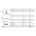 Arbeitsplattform MONTO StepTop 