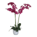 Künstliche Nachtfalter-Orchidee