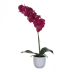 Künstliche Nachtfalter-Orchidee