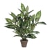 Kunstpflanze Dieffenbachia Kunstpflanze Dieffenbachia