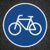 Thermoplastische Fahrbahnmarkierung PROline thermo - Radweg / VZ 237