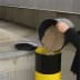 Rammschutzpoller WACHTWERK X® aus Stahl - Modell 3XL-31779-asu6bf-1788954349796